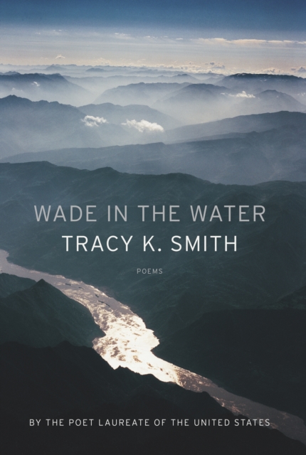 Book cover of Wade in the Water