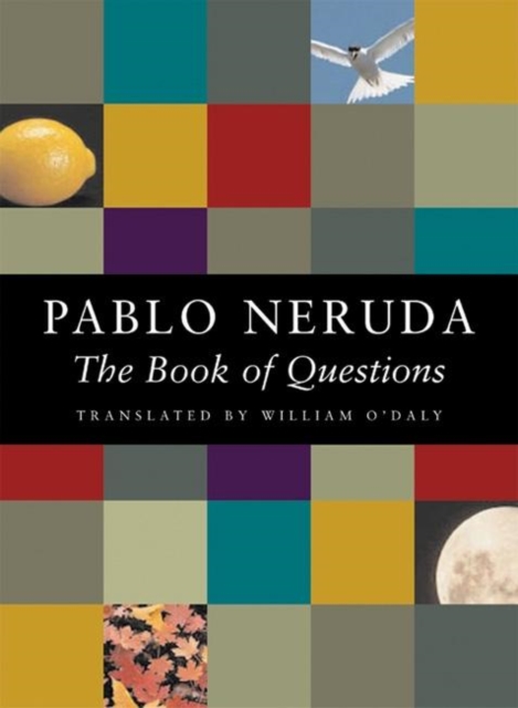 Book cover of The Book of Questions
