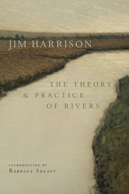 Book cover of The Theory and Practice of Rivers