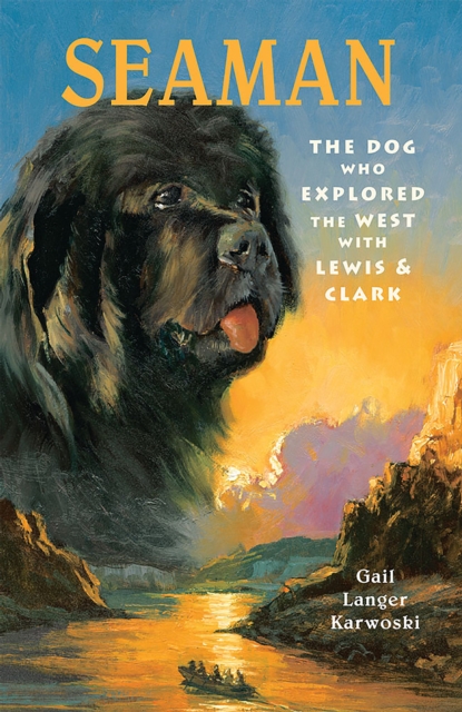 Book cover of Seaman