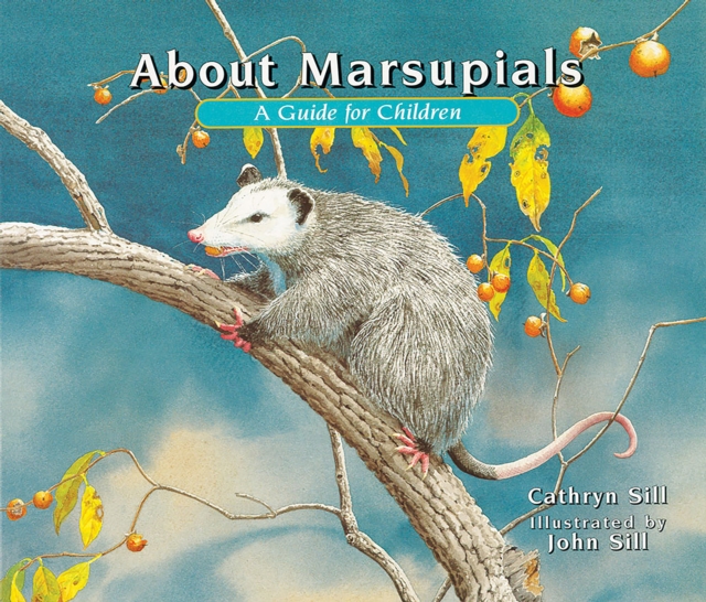 Book cover of About Marsupials