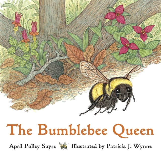 Book cover of The Bumblebee Queen