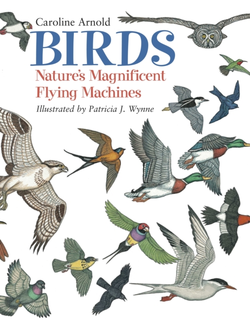 Book cover of Birds