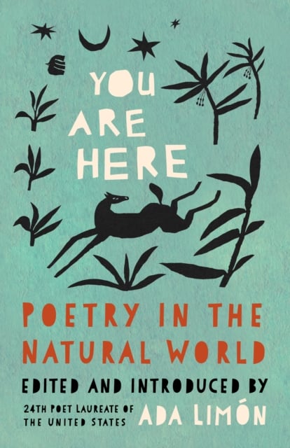 Book cover of You Are Here
