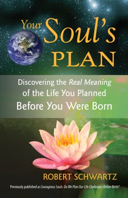 Book cover of Your Soul's Plan