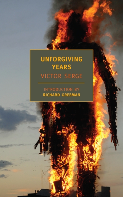 Book cover of Unforgiving Years