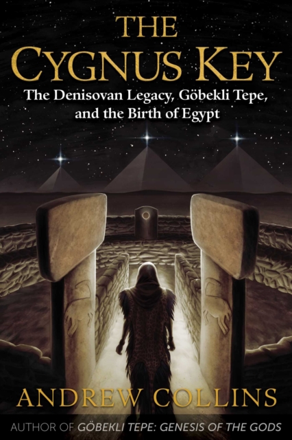 Book cover of The Cygnus Key