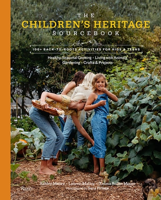 Book cover of The Children's Heritage Sourcebook
