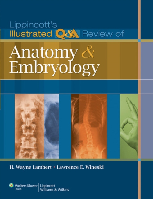 Book cover of Lippincott's Illustrated Q&A Review of Anatomy and Embryology
