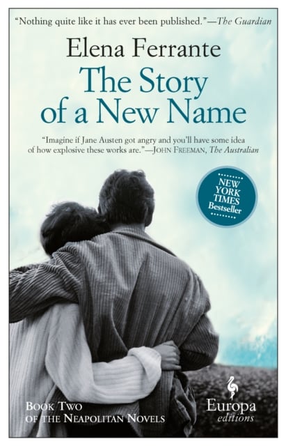 Book cover of The Story Of A New Name