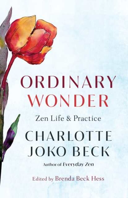 Book cover of Ordinary Wonder