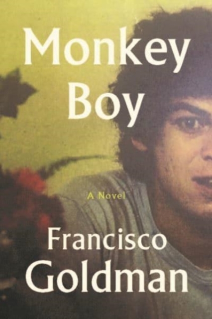 Book cover of Monkey Boy
