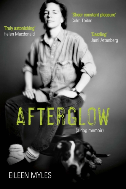 Book cover of Afterglow