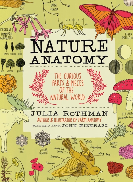 Book cover of Nature Anatomy