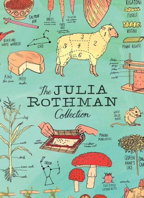 Book cover of The Julia Rothman Collection