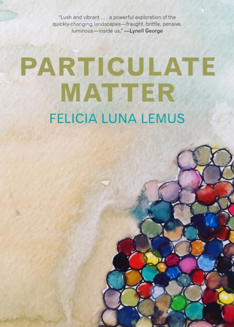 Book cover of Particulate Matter