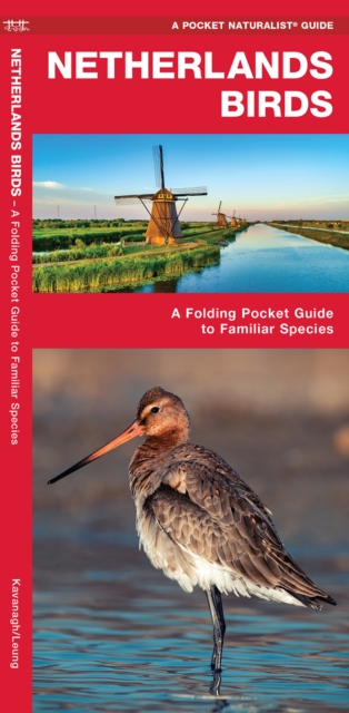 Book cover of Netherlands Birds