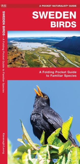 Book cover of Sweden Birds
