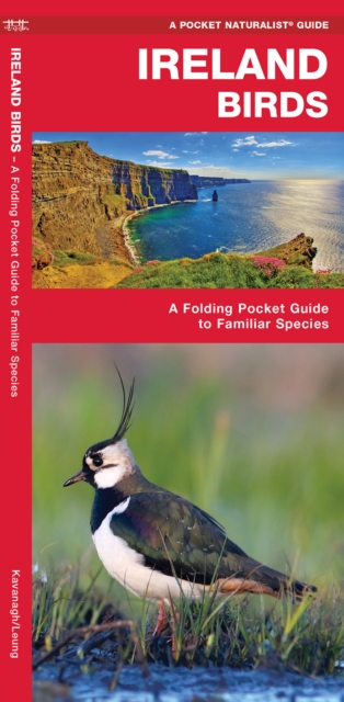 Book cover of Ireland Birds