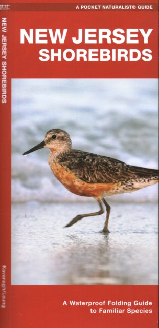 Book cover of New Jersey Shorebirds
