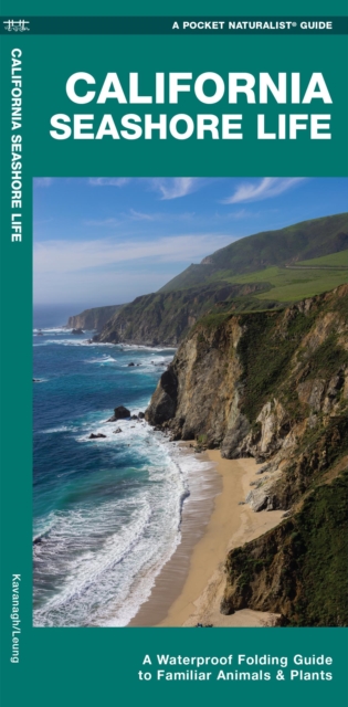 Book cover of California Seashore Life