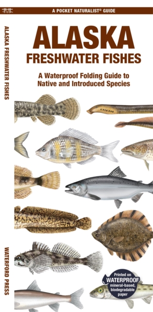 Book cover of Alaska Freshwater Fishes