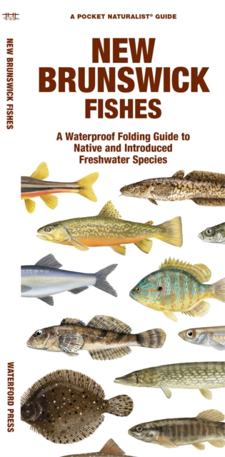 Book cover of New Brunswick Fishes