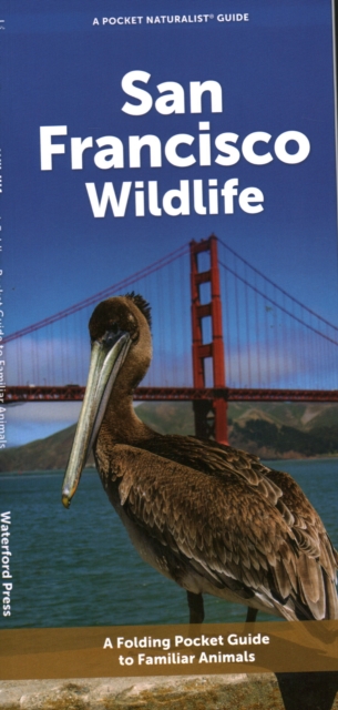 Where to see Wildlife in San Francisco