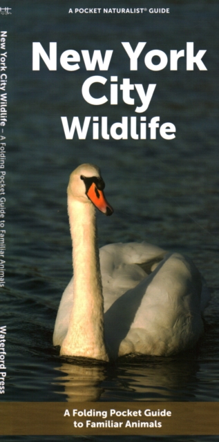 Book cover of New York City Wildlife
