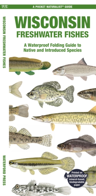 Book cover of Wisconsin Freshwater Fishes