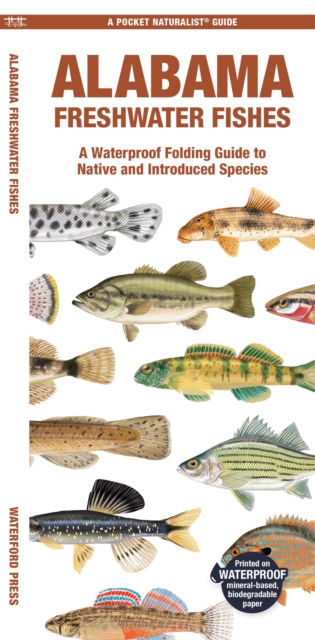 Book cover of Alabama Freshwater Fishes