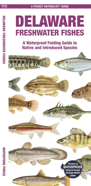 Newfoundland & Labrador Fishes: A Waterproof Folding Guide to Native and  Introduced Freshwater Species