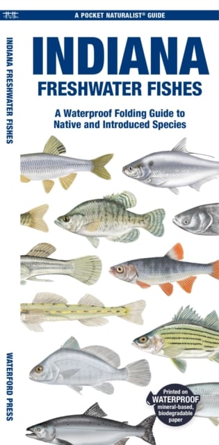 Book cover of Indiana Freshwater Fishes