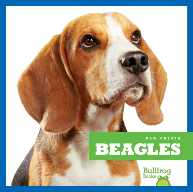 Book cover of Beagles