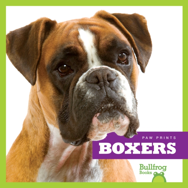 Book cover of Boxers