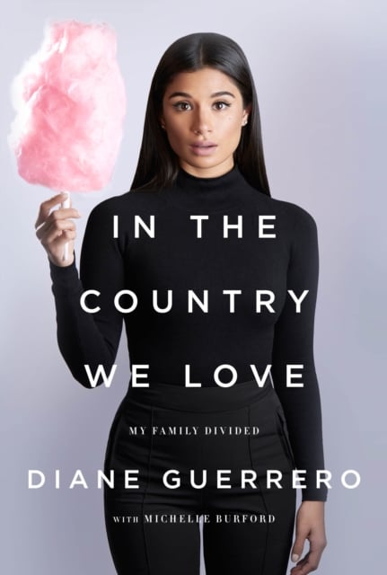 Book cover of In the Country We Love