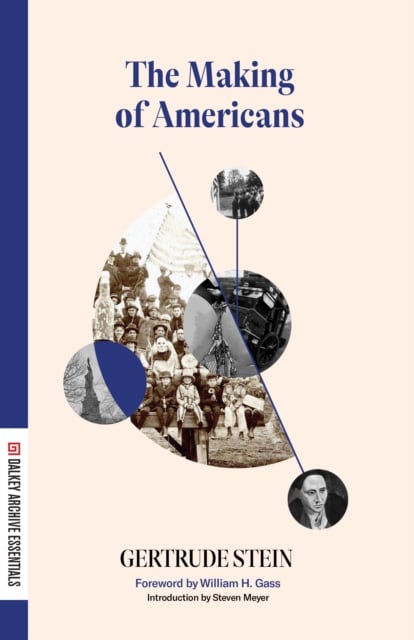 Book cover of The Making of Americans