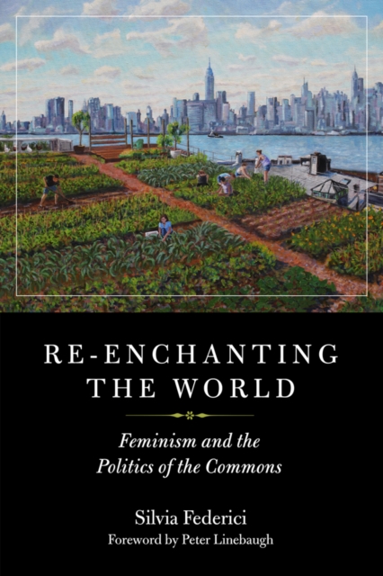 Book cover of Re-enchanting the World