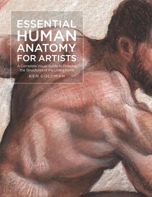 Book cover of Essential Human Anatomy for Artists