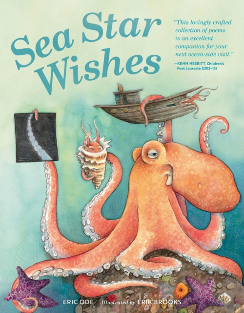 Book cover of Sea Star Wishes