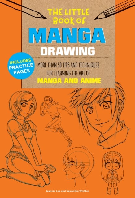Book cover of The Little Book of Manga Drawing