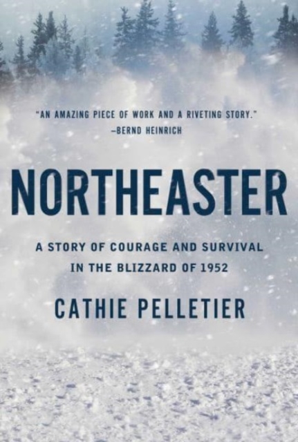 Book cover of Northeaster