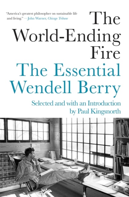 Book cover of The World-Ending Fire