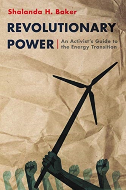 Book cover of Revolutionary Power