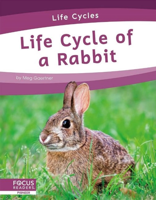 Book cover of Life Cycles: Life Cycle of a Rabbit