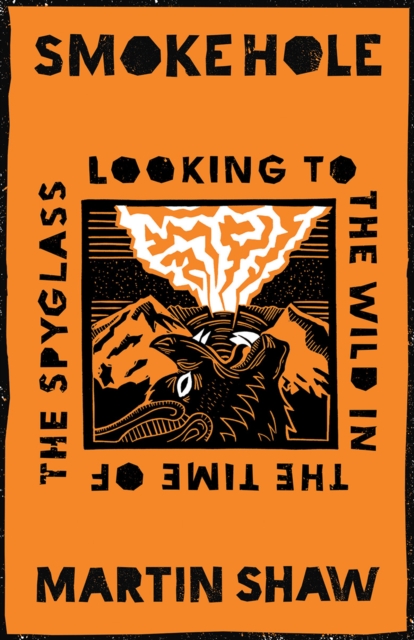 Book cover of Smoke Hole