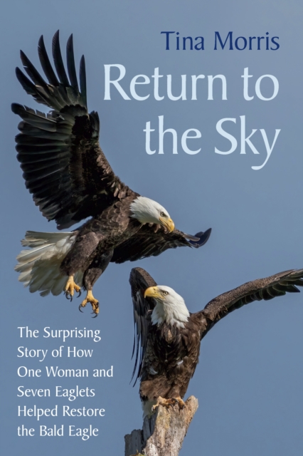 Book cover of Return to the Sky