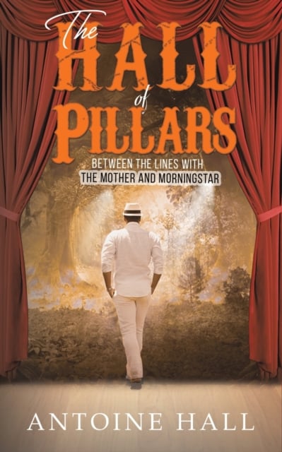 Book cover of The Hall of Pillars