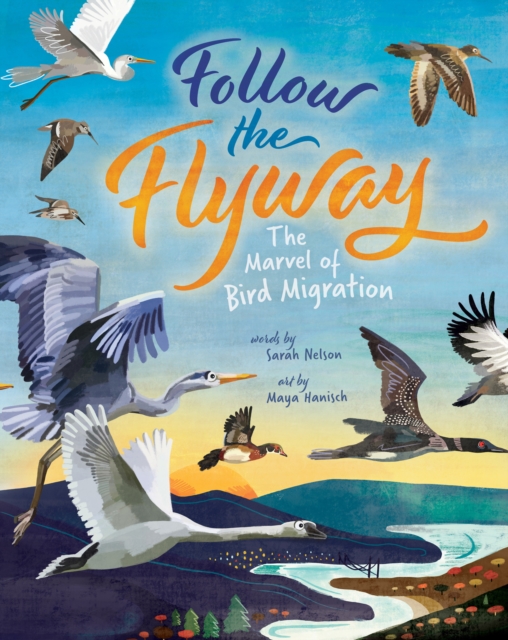 Book cover of Follow the Flyway