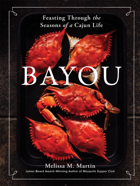 Book cover of Bayou